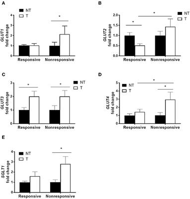 Glucose Metabolites Exert Opposing Roles in Tumor Chemoresistance